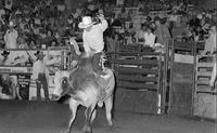 Don Johansen on Bull #22