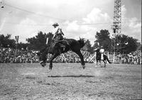 [Orvil Stanton riding and staying with his bronc in front of stands]