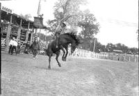 [Unidentified Cowboy riding bareback bronc]