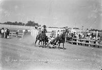 Joe Thompson Bulldogging Billings, Mont.