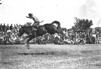 Dusty Doyle on "Billy the Kid" Dodge City Rodeo