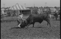Rodeo clown Jeff Rutland Bull fighting with Bull #44