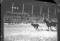 Jiggs Burke Calf roping