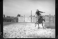 John Fouts on Bull #52