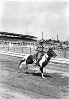 [Unidentified Swift's Jewel cowboy on galloping horse on track]