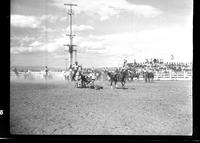 Bill Hartman Steer Wrestling