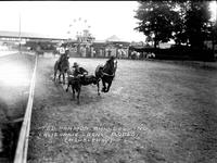 Ted Harmon Bulldogging California Frank's Rodeo