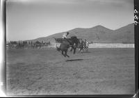 Gene Cox bareback Riding