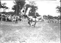 Looking For a Place to Light Mandan Rodeo