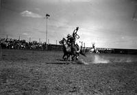 [Unidentified Cowboy standing atop stationary horse throwing rope loop over passing rider]