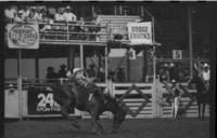 Wes Ward on Tom Thumb
