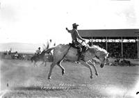 Cliff Helm on "Papago" Sheridan Wyo. Rodeo