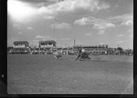 John Pouge Calf Roping