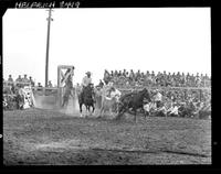 Elliott Calhoun Steer Wrestling