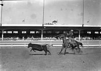 [Unidentified calf roper in front of grandstand]