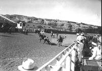 Lewis Carmicheal Bulldogging, Billings, Mont.