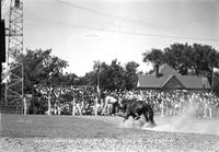 Bareback riding Ark-Okla. Rodeo