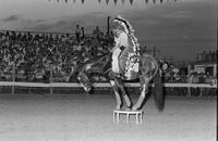 Vicki Adams specialty act