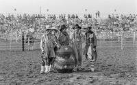 Unidentified group of Rodeo clowns