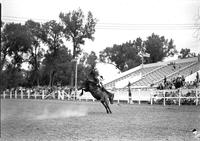 [Unidentified Cowboy riding bronc]