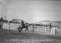 Helen Kirkendahl on "Bob Cat" Memphis Fair & Rodeo