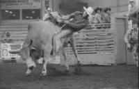 Joe Wimberry on Bull #95