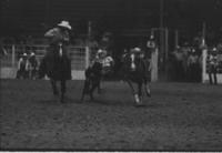 Bob Anz Steer wrestling