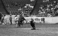 Arnold Hart Calf roping