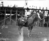 [Unidentified Young boy on horse]