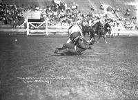 Jack Kerscher Bulldogging, Tex Austin Rodeo Chicago, 1927