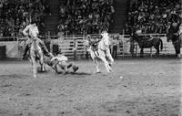 Doug Hanover Steer wrestling