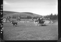 Del Haverty Calf Roping