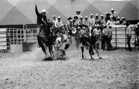 Tom Switzer Steer wrestling