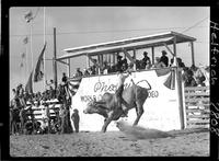 Buck Rutherford on #64
