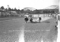 Joe McMakin Bulldogging Memphis Fair & Rodeo