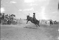 [Possibly Margie Greenough riding bronc]