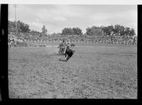 Jack Skipworth Calf Roping