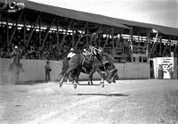 Ross Greenwood on "Midget" Wolf Point Stampede