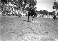 [Unidentified Cowboy riding and staying with twisting and bucking bronc]