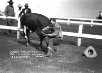 Eddie Crumpton Bulldogging, Buffalo Rodeo