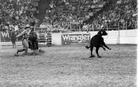 Bronc Rumford Calf roping