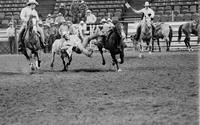 Billy Hale Steer wrestling