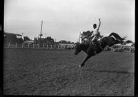 Roy Barger on Brown Jug