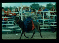 Rodeo clown Ted Kimzey on donkey
