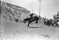 [Unidentified Cowboy holding reins with left hand and standing in saddle]