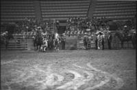 Gene Clark fighting Bull #51