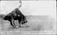 Myrtle Cox Taming "Dutch Anne," Ogallala Round-Up