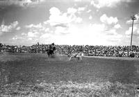 [Unidentified calf roper in front of spectators seated on bleachers]