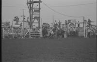 Byron Walker Steer wrestling