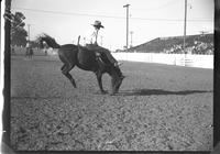 Jack Wade Bareback Riding